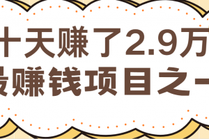 闲鱼小红书最赚钱项目之一,轻松月入6万+