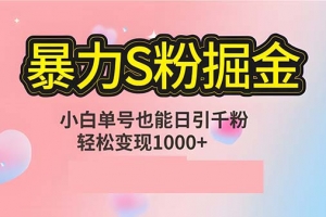 单人单机日引千粉,变现1000+,S粉流量掘金计划攻略