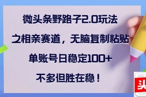 微头条野路子2.0玩法之相亲赛道,无脑复制粘贴,单账号日稳定100+,不…