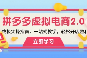 拼多多 虚拟项目-2.0:终极实操指南,一站式教学,轻松开店盈利