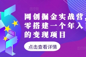 网创掘金实战营,从零搭建一个年入百万的变现项目(持续更新)