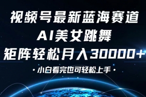 视频号最新蓝海赛道,小白也能轻松月入30000+