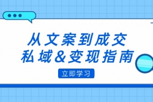 从文案到成交,私域&变现指南:朋友圈策略+文案撰写+粉丝运营实操