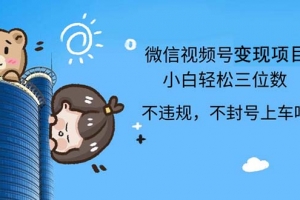 2024最新微信视频号,0撸项目,自己玩,小白轻松日入三位数