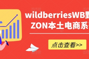 wildberriesWB野莓/OZON本土电商系列课,掌握WB产品优化,出单技巧和订单处理等