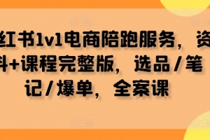 小红书1v1电商陪跑服务,资料+课程完整版,选品/笔记/爆单,全案课