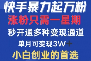 快手暴力起万粉,涨粉只需一星期,多种变现模式,直接秒开万合,单月变现过W