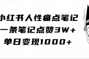 小红书人性痛点笔记,一条笔记点赞3W+,单日变现1000+