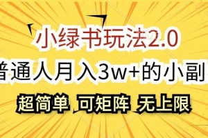 小绿书玩法2.0,超简单,普通人月入3w+的小副业,可批量放大