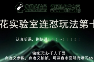 梅花实验室社群专享课视频号连怼玩法第十期课程+第二部分-FF助手全新高自由万能爆闪AB处理