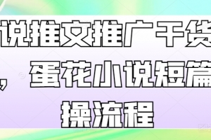 小说推文推广干货分享,蛋花小说短篇实操流程