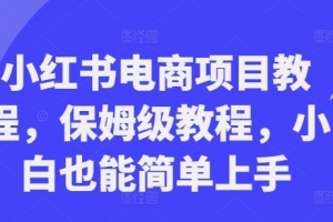 小红书电商项目教程,保姆级教程,小白也能简单上手