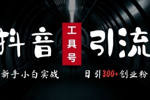 2024最新抖音工具号引流玩法,高效日引300+创业粉,当天变现5k,小白也可成为实战高手