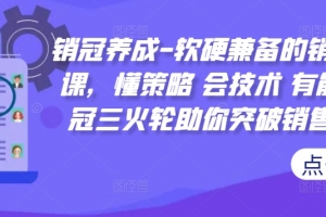 销冠养成-软硬兼备的销售技能课,懂策略 会技术 有能力 销冠三火轮助你突破销售瓶颈!