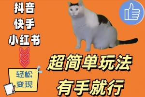 超简单玩法,有手就行,靠猫咪视频日入500+