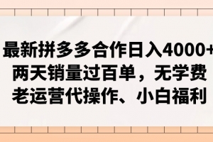 拼多多最新合作日入4000+两天销量过百单,无学费、老运营代操作、小白福利