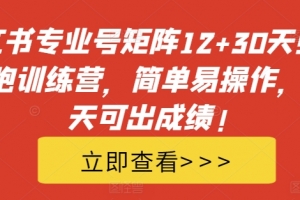 小红书专业号矩阵12+30天引流陪跑训练营,简单易操作,15天可出成绩!