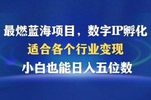 最燃蓝海项目  数字IP孵化  适合各个行业变现  小白也能日入5位数