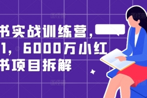 小红书实战训练营,从0到1,6000万小红书项目拆解