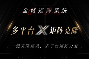 全域矩阵系统,可一键克隆爆款矩阵分发到多个平台!矩阵操作日引流500+!