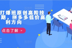 拼多多打爆班原创高阶技术第39期,拼多多低价高利方向