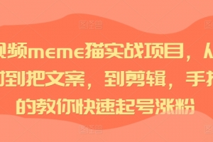 短视频meme猫实战项目,从选素材到把文案,到剪辑,手把手的教你快速起号涨粉