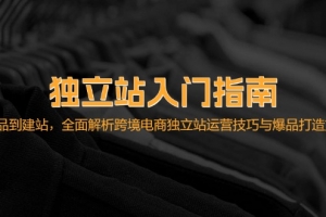 独立站入门指南:从选品到建站,全面解析跨境电商独立站运营技巧与爆品…
