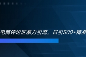 双十一电商评论区暴力引流,日引500+精准创业粉