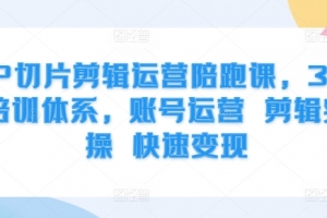 IP切片剪辑运营陪跑课,3大培训体系,账号运营 剪辑实操 快速变现