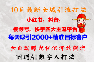 10月最新小红书,抖音,视频号,快手四大平台全域引流,,每天吸引2000…