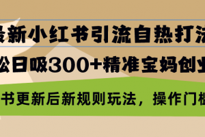 最新小红书引流自热打法,轻松日吸300+精准宝妈创业粉,小红书更新后新…