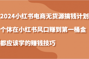 2024小红书电商无货源搞钱计划,个体在小红书风口赚到第一桶金应该学的赚钱技巧
