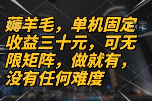 薅羊毛项目,单机三十元,做就有,可无限矩阵 无任何难度