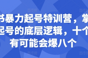 小红书暴力起号特训营,掌握小红书起号的底层逻辑,十个帖真有可能会爆八个