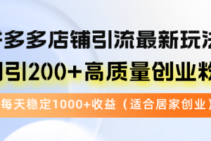 拼多多店铺引流最新玩法,日引200+高质量创业粉,每天稳定1000+收益(…