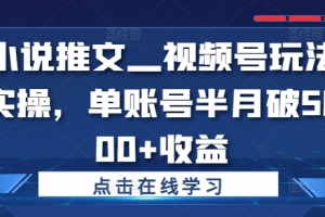 小说推文—视频号玩法实操,单账号半月破5000+收益