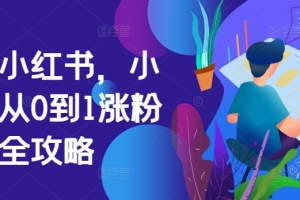 掘金小红书,小红书从0到1涨粉变现全攻略
