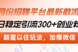 招聘平台最新截流术,日稳定引流300+创业粉,颠覆以往玩法 加爆微信