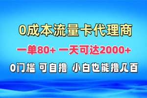 免费流量卡代理一单80+ 一天可达2000+