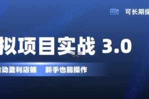 虚拟项目实战3.0,打造自动盈利店铺,可长期操作投入低,新手也能操作