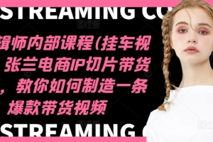 IP剪辑师内部课程(挂车视频)(更新11月),张兰电商IP切片带货培训,教你如何制造一条爆款带货视频