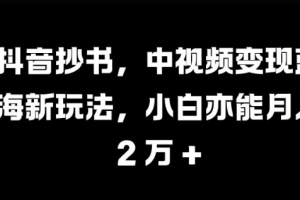 抖音抄书,中视频变现蓝海新玩法,小白亦能月入 过W