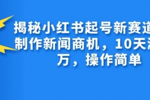 揭秘小红书起号新赛道,AI制作新闻商机,10天涨粉1万,操作简单