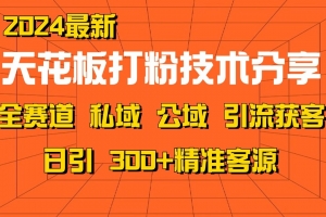 天花板打粉技术分享,野路子玩法 曝光玩法免费矩阵自热技术日引2000+精准客户
