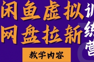 闲鱼虚拟网盘拉新训练营,两天快速人门,长久稳定被动收入,要在没有天花板的项目里赚钱
