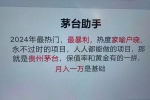魔法贵州茅台代理,抛开传统玩法,使用科技命中率极高,单瓶利润1000+