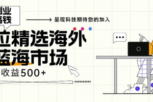 海外全新空白市场,小白也可轻松上手,年底最后红利