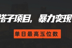 2024搭子玩法,0门槛,暴力变现,单日最高破四位数