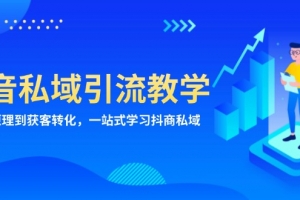 抖音私域引流教学:从项目原理到获客转化,一站式学习抖商 私域