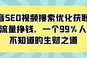 抖音SEO视频搜索优化获取免费流量挣钱,一个99%人还不知道的生财之道